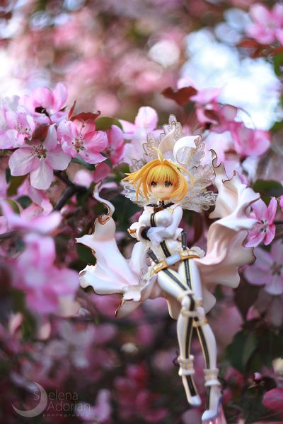 Saber Bride 通常版