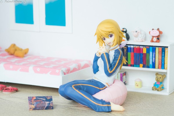 IS〈无限斯特拉托斯〉夏洛特・迪诺亚 运动装