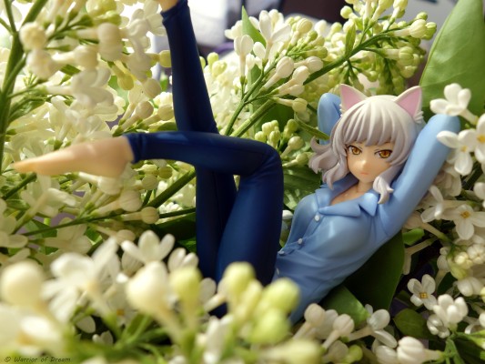 〈物语〉系列 黑羽川