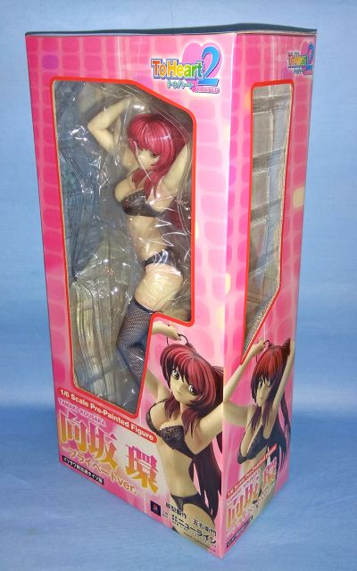 ToHeart2 XRATED 向坂环 プライベートVer. 通常版 