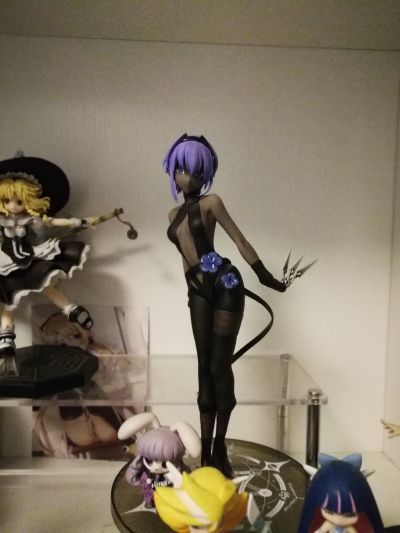 Fate/Grand Order 静谧哈桑 Assassin