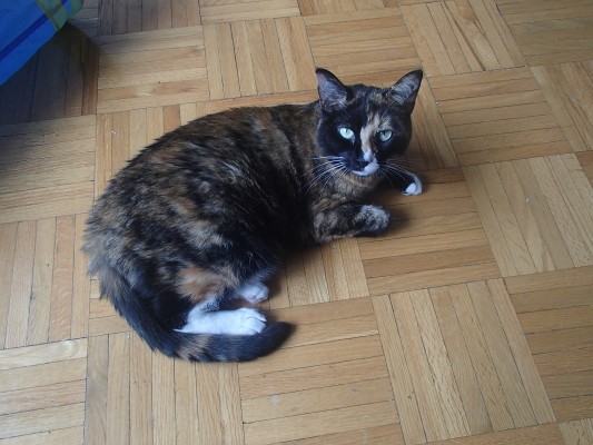 粘土人 #045 魔人探侦 食脑奈罗 食脑奈罗