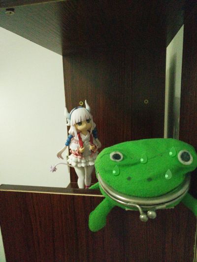 小林家的龙女仆 康娜卡姆依