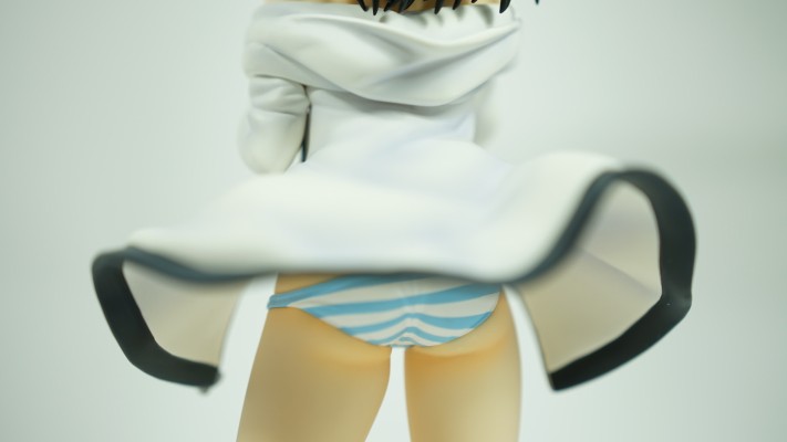 噬血狂袭 姬柊雪菜