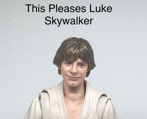 S.H.Figuarts 星球大战：新希望 卢克·天行者