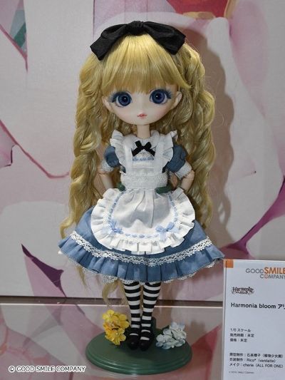 Harmonia bloom ALICE A