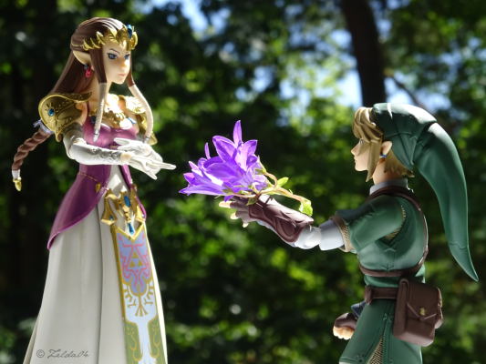 figma #318 萨尔达传说 黄昏公主 塞尔达公主