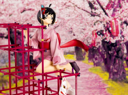 伪物语 阿良良木月火