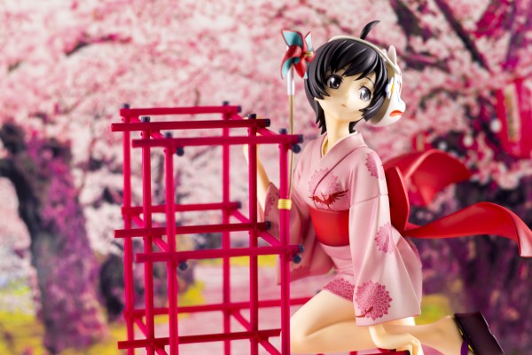 伪物语 阿良良木月火