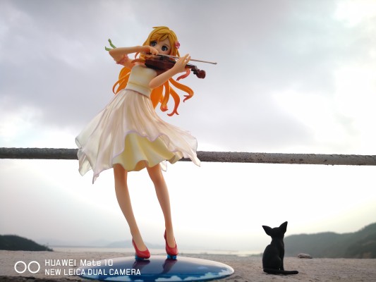 四月是你的谎言 宫园薰 礼服