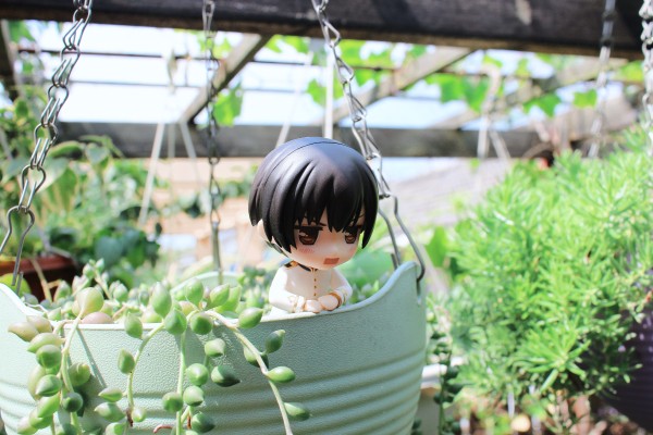 粘土人 #753 黑塔利亚 The World Twinkle 日本