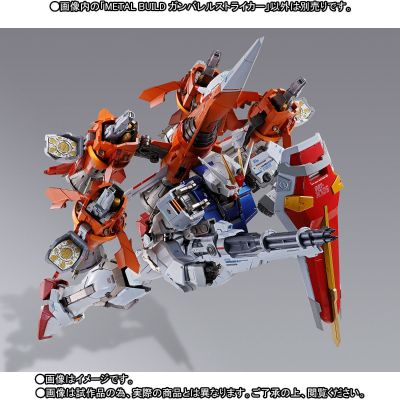 METAL BUILD 机动战士高达SEED MSV AQM/E-X04 炮筒型强袭背包
