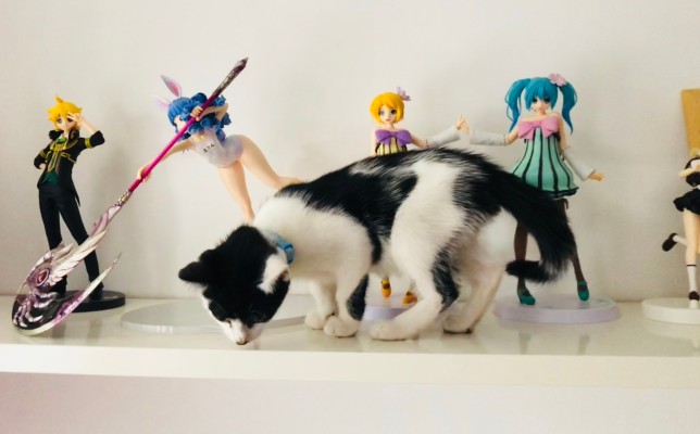 超级景品 初音未来 Project DIVA Arcade Future Tone 初音未来 Colorful Drop 