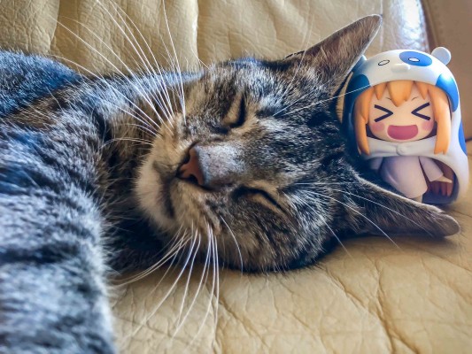 粘土人#524b 干物妹！小埋R 土间埋 Nekoronbus Color