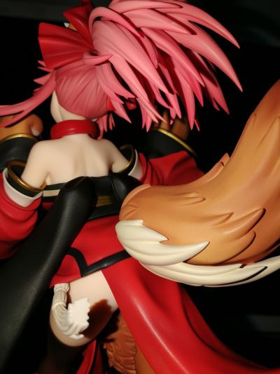 Fate / Grand Order 玉藻猫（Berserker）