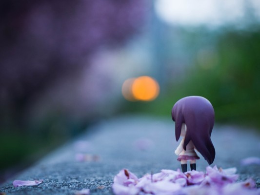 凉宫春日の消失 凉宫春日 