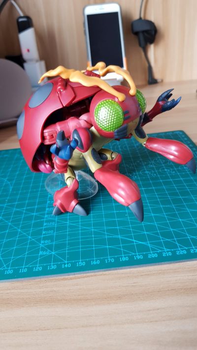 超进化魂 数码暴龙大冒险 甲虫兽&超比多兽