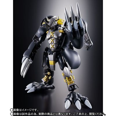 超进化魂 数码暴龙大冒险 02 暗黑战斗暴龙兽&暗黑亚古兽