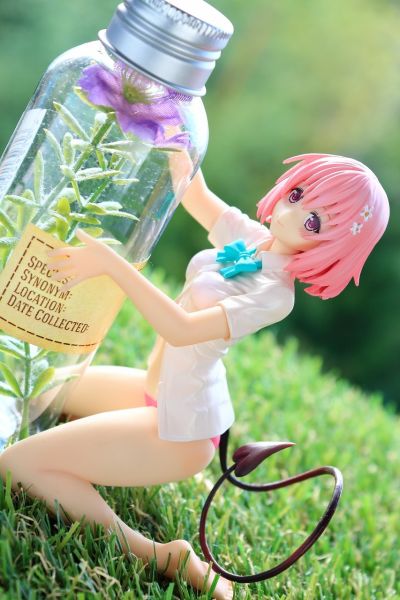 出包王女Darkness 饮料架 梦梦