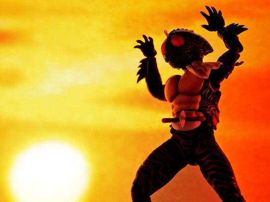 S.H.Figuarts（真骨雕制法）假面骑士：亚马逊 假面骑士亚马逊