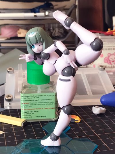 机械新人类 FLL 伊安娜