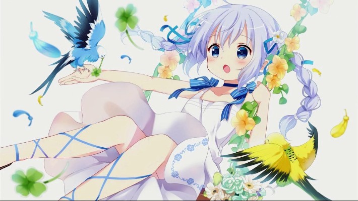 请问要来点兔子吗？ 香风智乃&提比