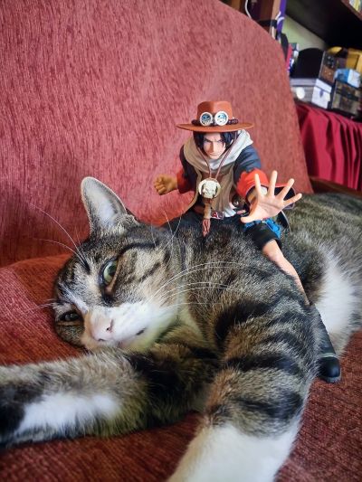 决胜造型 航海王  波特卡斯·D·艾斯 3