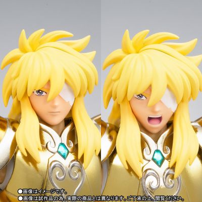 圣斗士圣衣神话EX 圣斗士星矢 水瓶座冰河