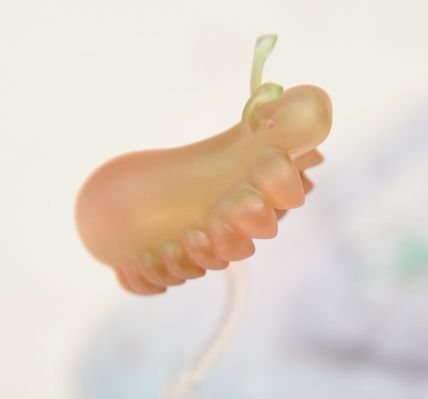 宝石之国 磷叶石