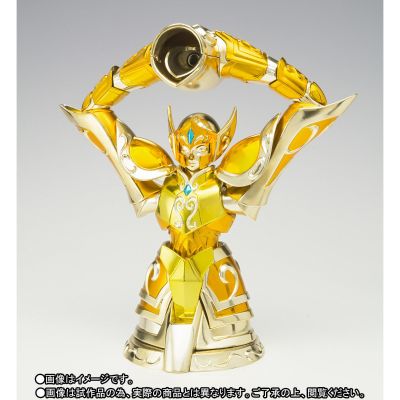 圣斗士圣衣神话EX 圣斗士星矢 水瓶座冰河