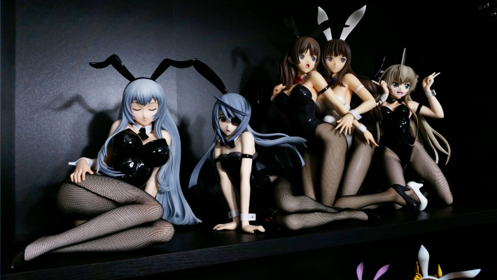 赵云子龙 兔女郎版