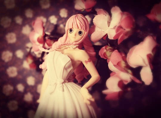 LADY EDGE: WEDDING 海贼王 佩罗娜