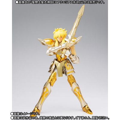 圣斗士圣衣神话EX 圣斗士星矢 水瓶座冰河