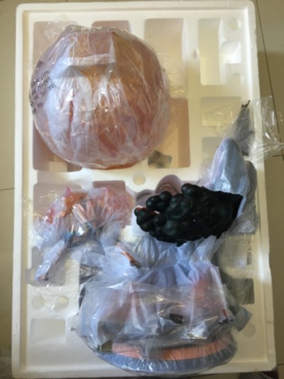 HQS 海贼王 	波特卡斯·D·艾斯