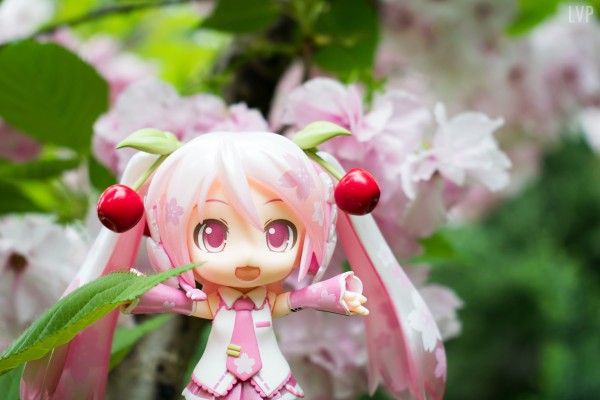 粘土人 #274 樱初音 樱未来