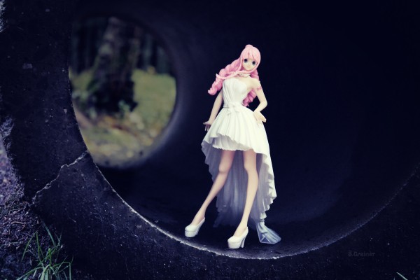 LADY EDGE: WEDDING 海贼王 佩罗娜