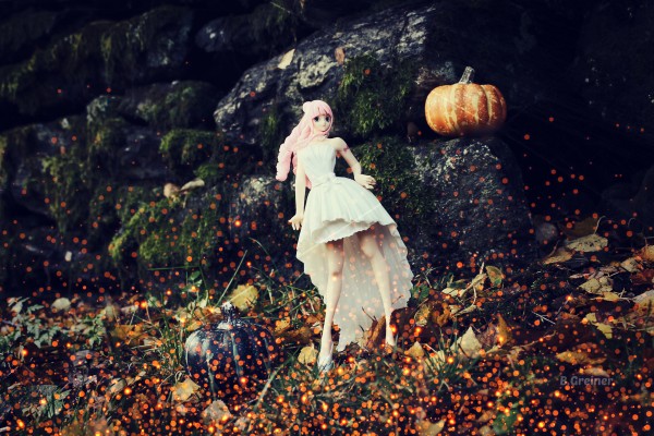 LADY EDGE: WEDDING 海贼王 佩罗娜