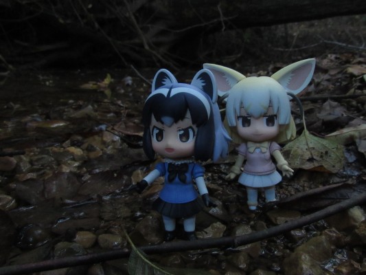 粘土人#911 动物朋友 浣熊