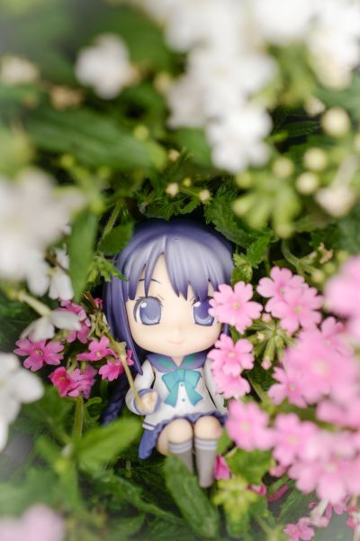 粘土人 #118 剧场版“文学少女”天野远子