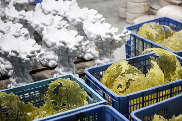 HQS 海贼王 	波特卡斯·D·艾斯