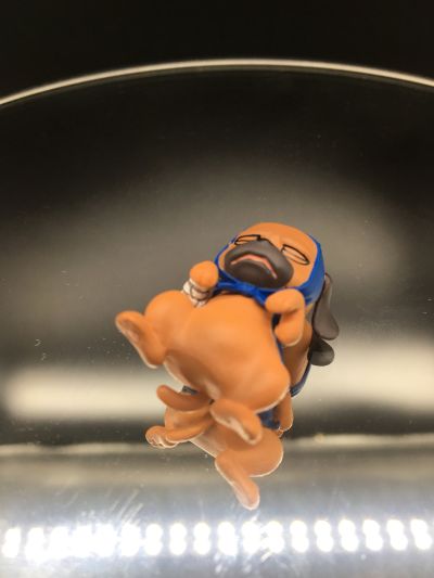 NARUTO -火影忍者- 疾风伝 アキノ&旗木卡卡西&帕克 と忍犬たち