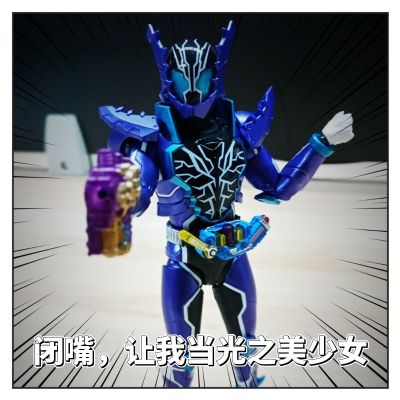 S.H.Figuarts  假面骑士恶霸