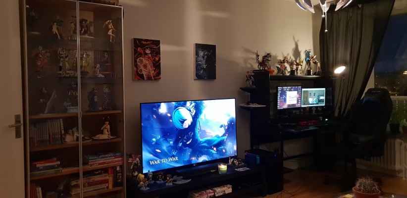 龙与虎 逢坂大河 老虎COS Ver．