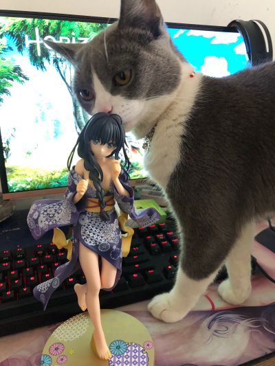 我的青春恋爱物语果然有问题。续 雪之下雪乃 浴衣