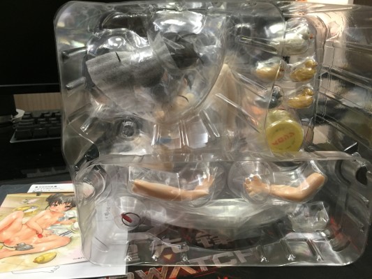 いぬぶろ小画集 国天妙 特别版