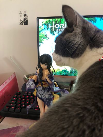 我的青春恋爱物语果然有问题。续 雪之下雪乃 浴衣