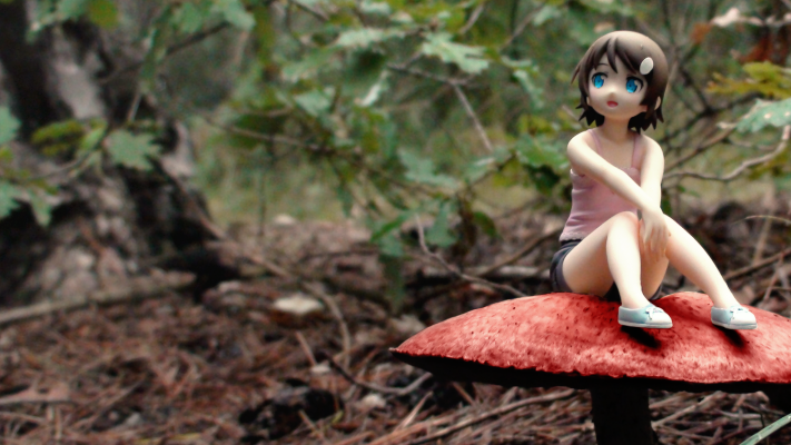 Dream Tech 我的妹妹不可能那么可爱 高坂桐乃 小学生