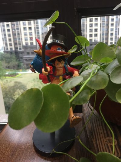 海贼王 蒙奇·D·路飞