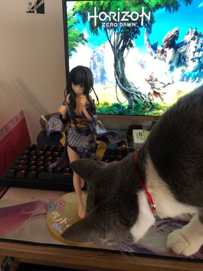 我的青春恋爱物语果然有问题。续 雪之下雪乃 浴衣