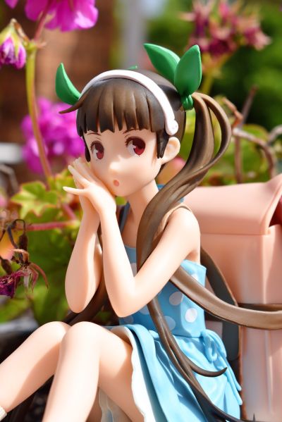 EXQ手办 〈物语〉系列 八九寺真宵